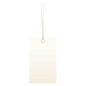 Waterproof Tag White Eyelet 2.7"X1.5" 1000/cs