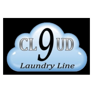 VSS Detergent Built Cloud9 2.5 Gallon Each