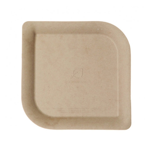 Bagasse Plate 9" Square Compostable 400/cs