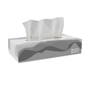 Facial Tissue Envision Flat 2-Ply 100/bx 30/cs
