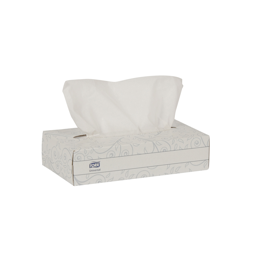 Facial Tissue Ecologo Flat 2-Ply 100/bx 30/cs